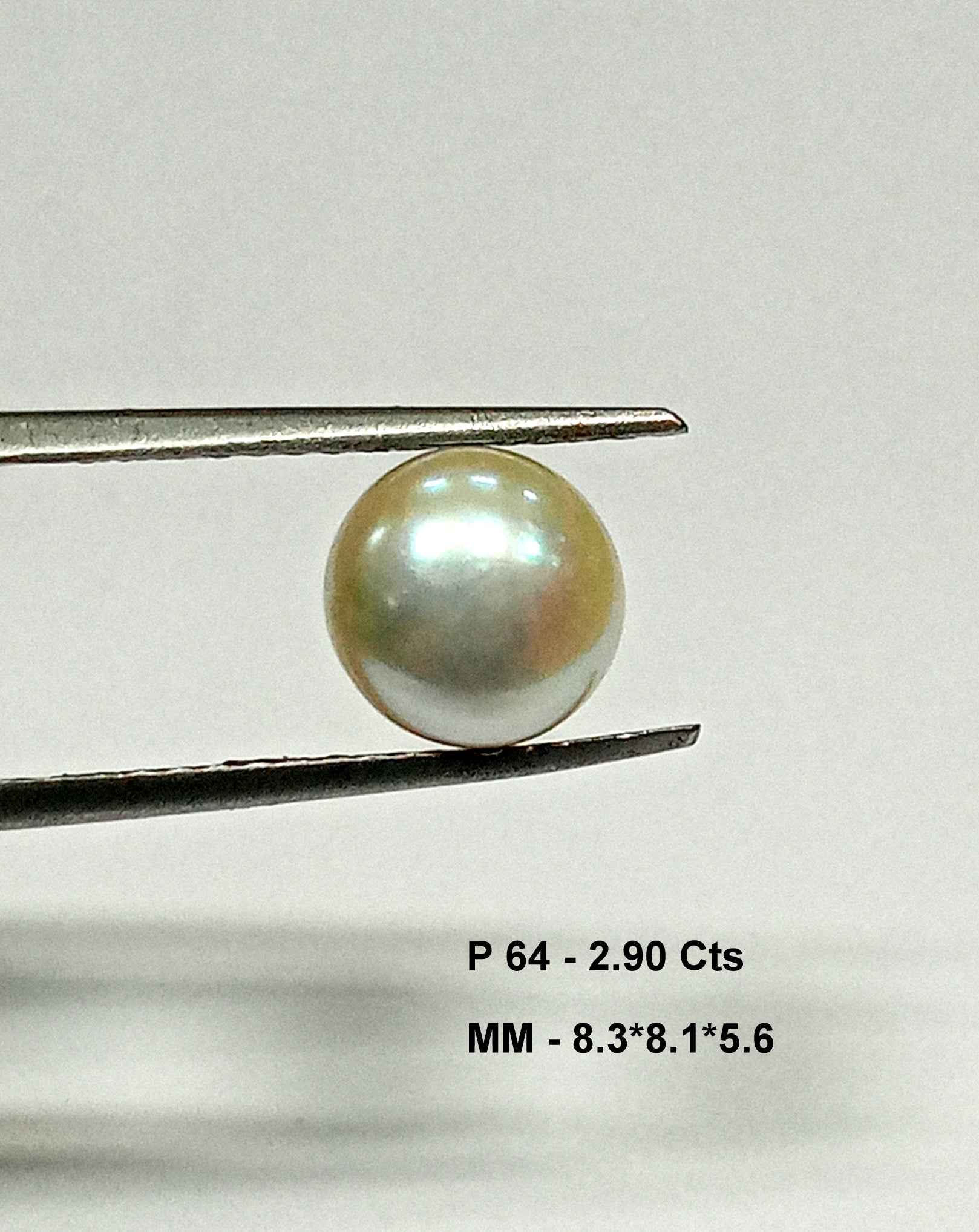 2.90 Cts Fresh Water Pearl Natural China Round Shape 8.3*8.1 MM P64