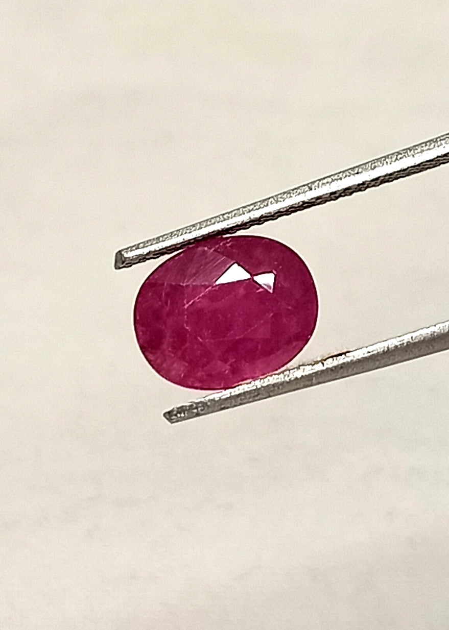 2_36c87484-d38e-4b40-b315-0588e95f89a4