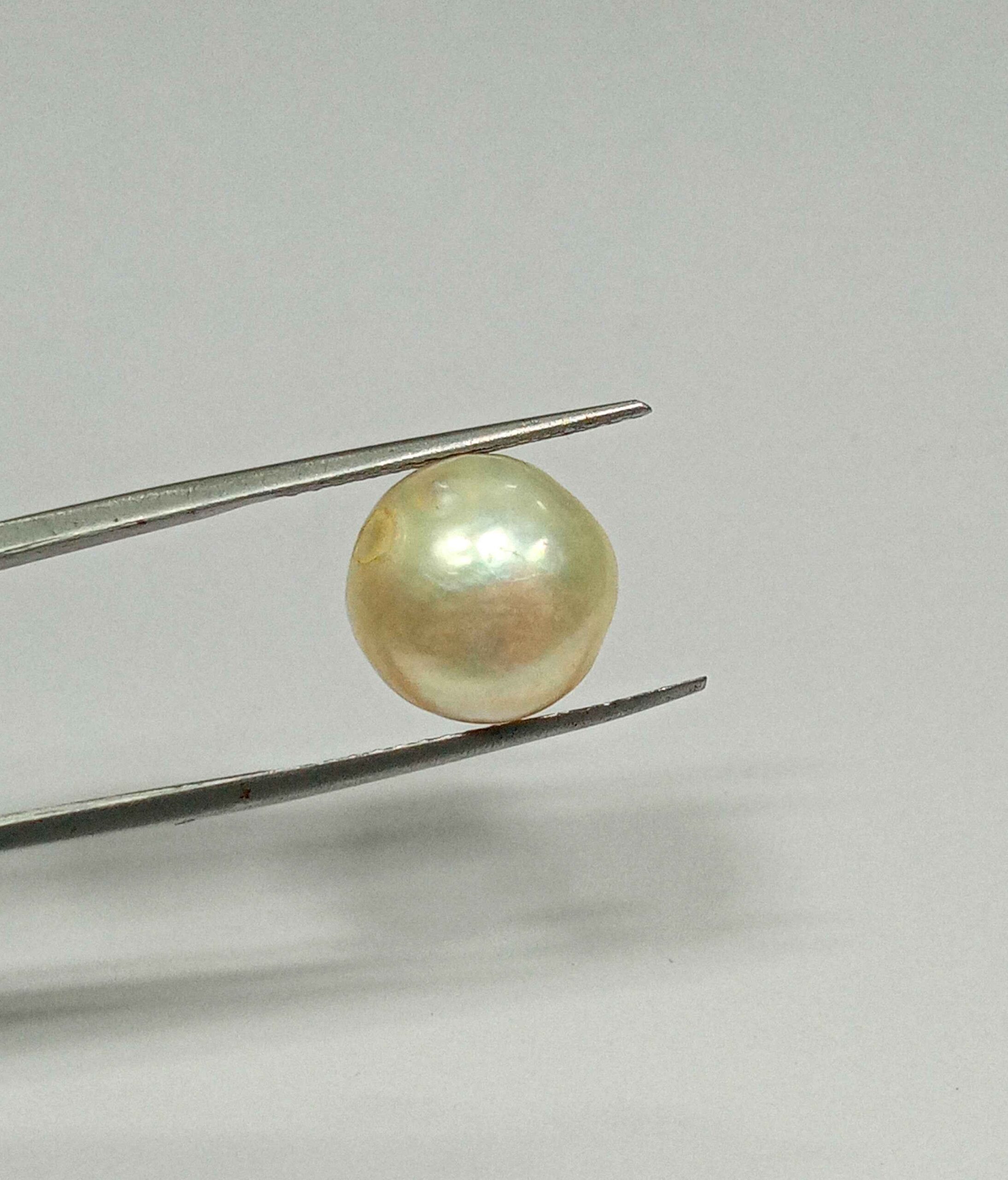 11.25 Cts Fresh Water Pearl Natural China Round Shape 12.3*12.2 MM P71