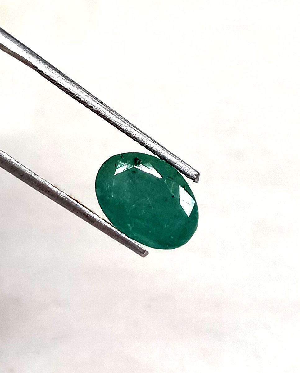 3_98b53805-5534-448a-b9ea-54b98ea970cf