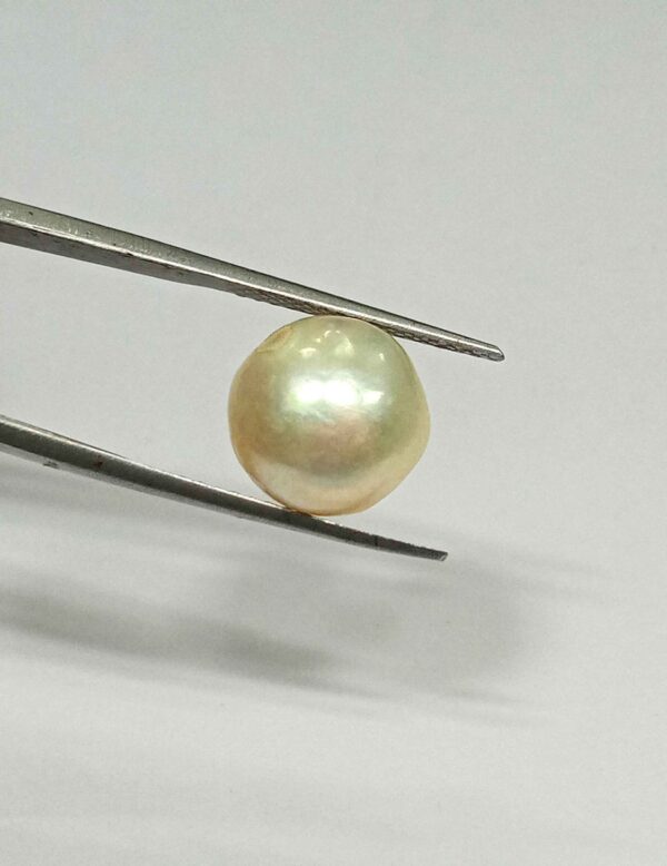 11.25 Cts Fresh Water Pearl Natural China Round Shape 12.3*12.2 MM P71