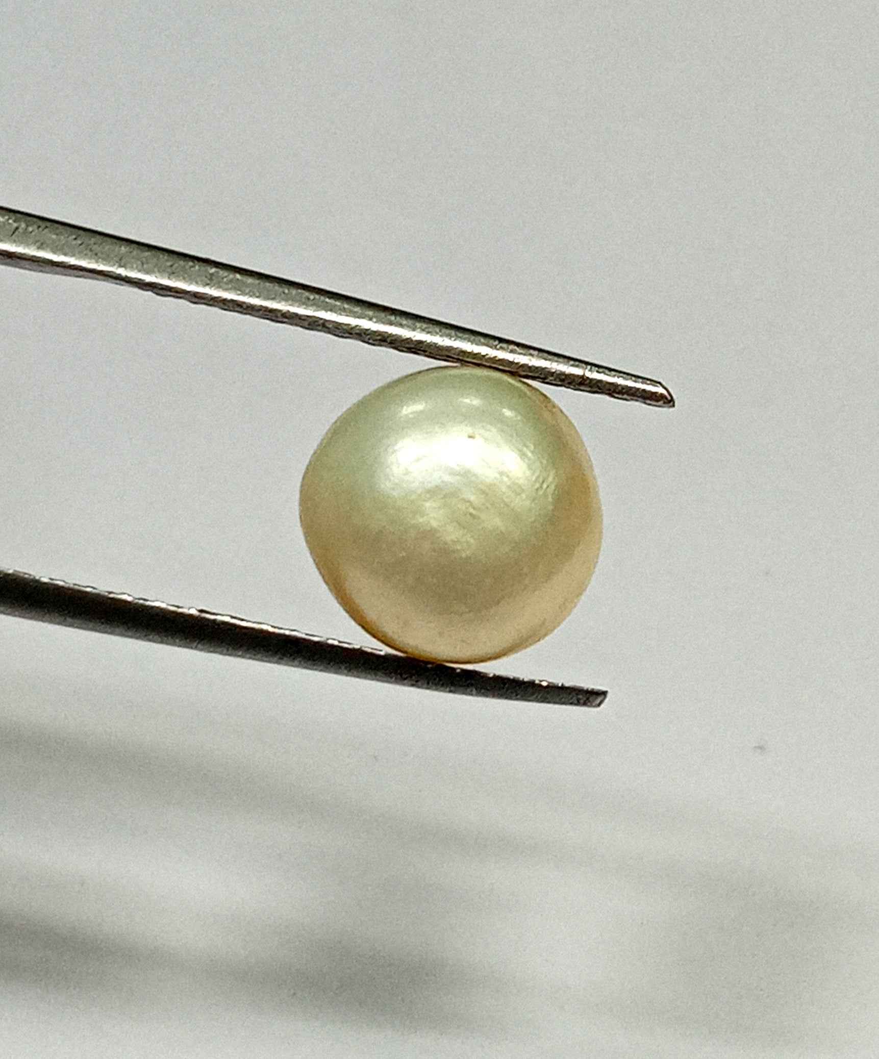 4_50667697-10ef-4815-9004-60bcfd12faac 4.45 Cts Fresh Water Pearl Natural China Round Shape 9.6*9.3 MM P57