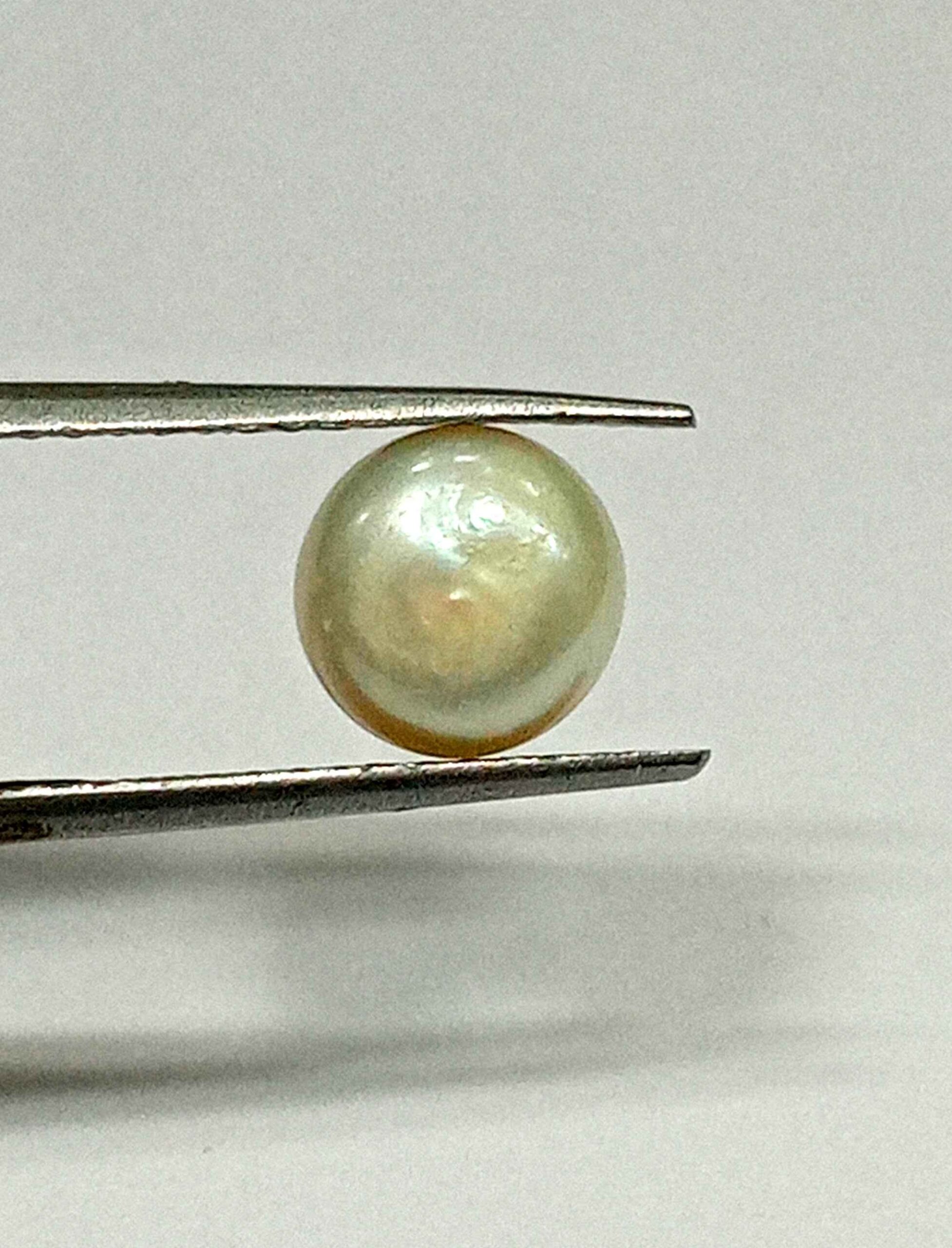 2.90 Cts Fresh Water Pearl Natural China Round Shape 8.3*8.1 MM P64