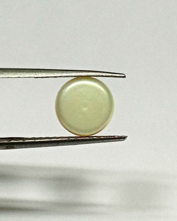 3.70 Cts Fresh Water Pearl Natural China Round Shape 8.8*8.8 MM P53