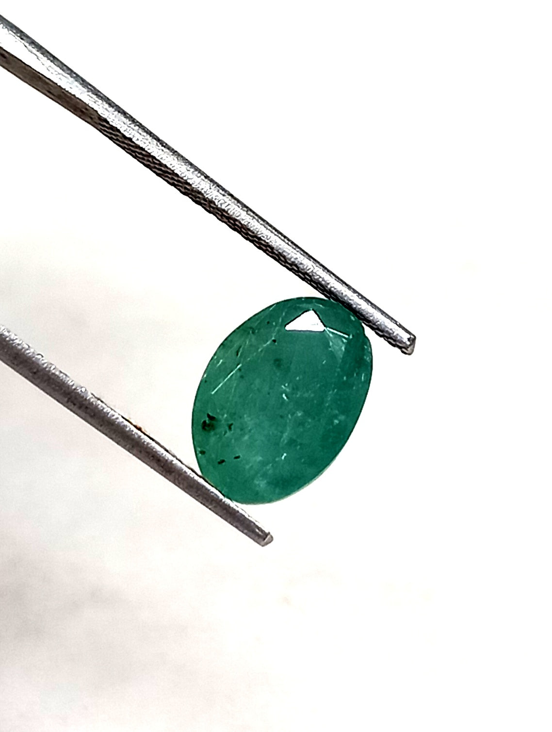 5_88930515-fe58-4112-8b49-7da37a363628