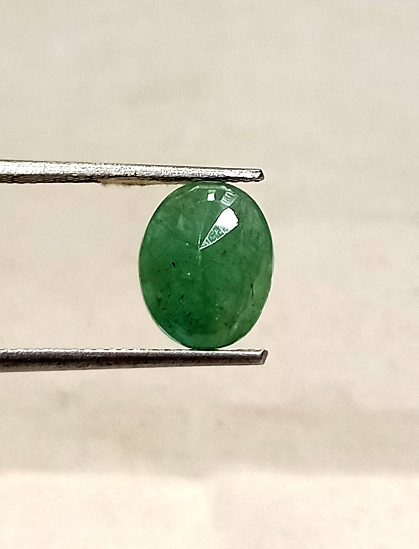 6_31449a51-7905-4c35-8ac8-da821a739cea