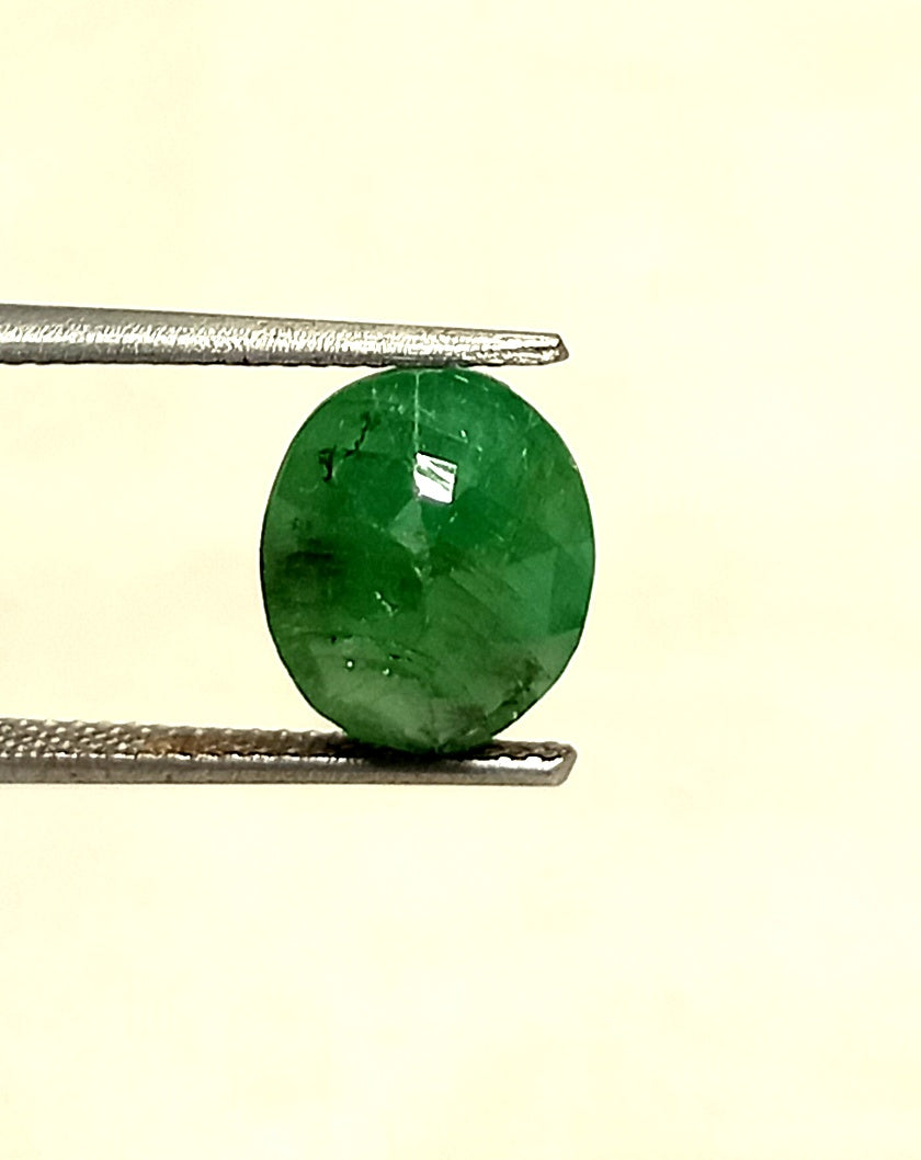 7_cf3f565a-f2f5-4f81-be1f-538bde7fd956